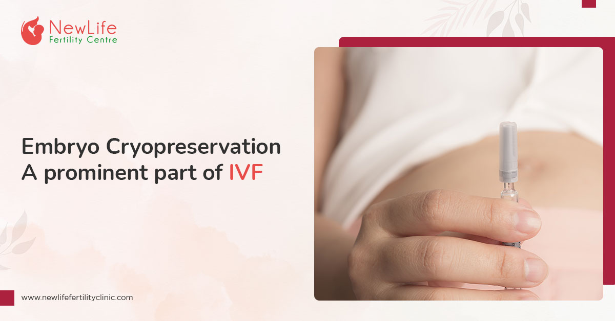 Embryo Cryopreservation - A prominent part of IVF