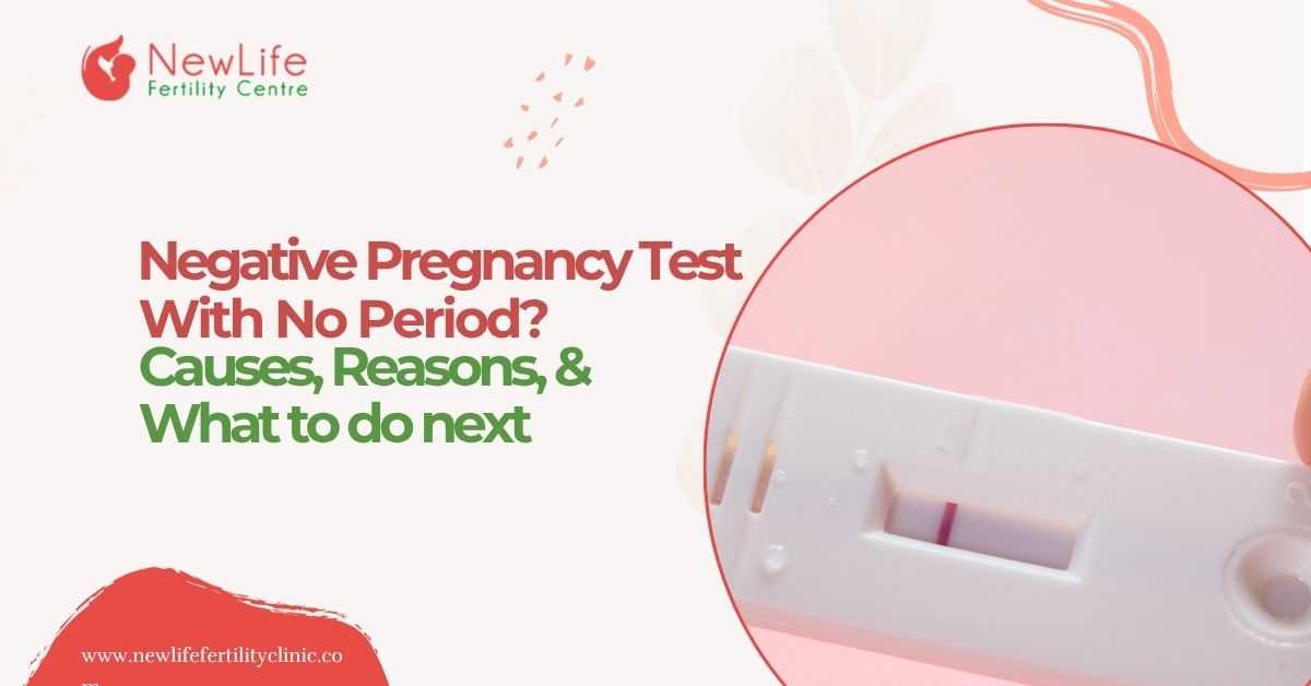 Negative Pregnancy Test with No Period? Causes, Reasons, and What to Do Next