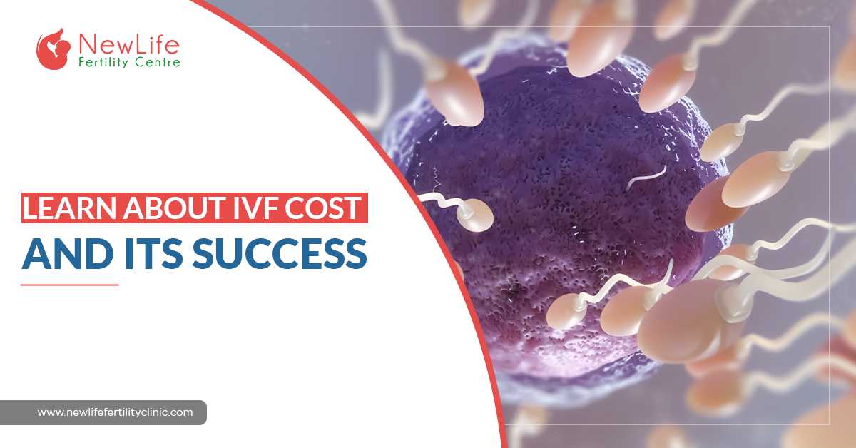 Learn About IVF Cost & Success