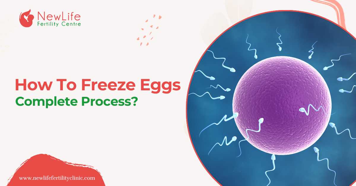 How To Freeze Eggs - Complete Process?