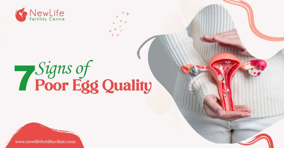 7 Signs of Poor Egg Quality