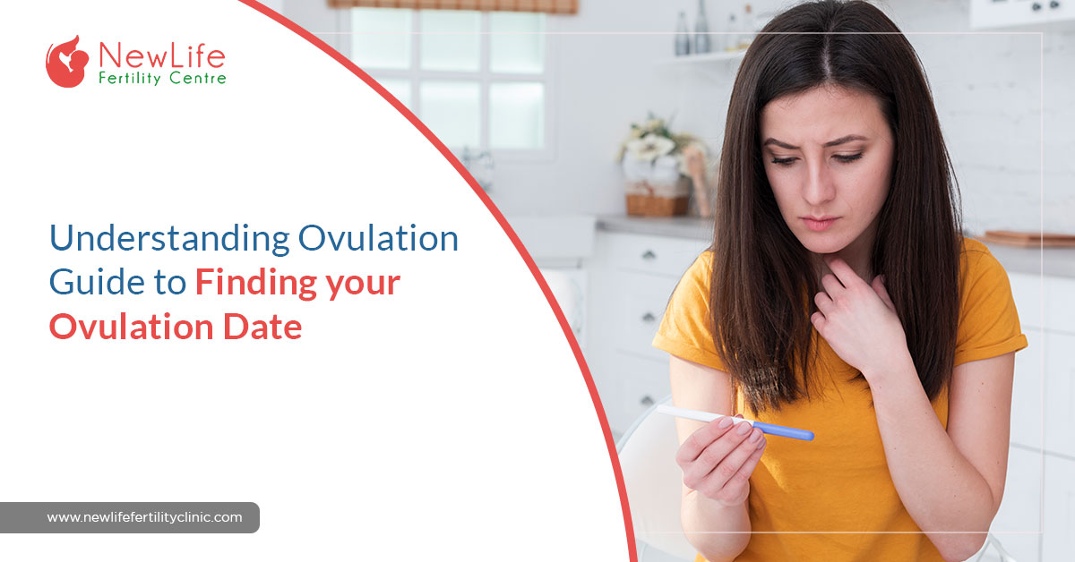 Understanding Ovulation: Guide to Finding your Ovulation Date