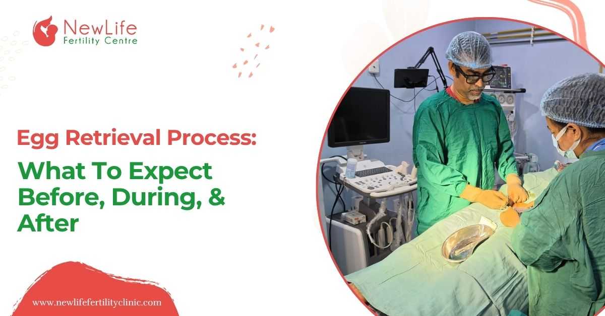 Egg Retrieval Process: What To Expect Before, During, & After