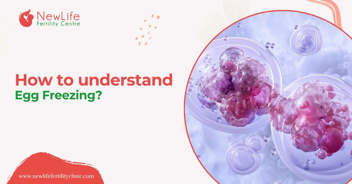 How to Understand Egg Freezing?