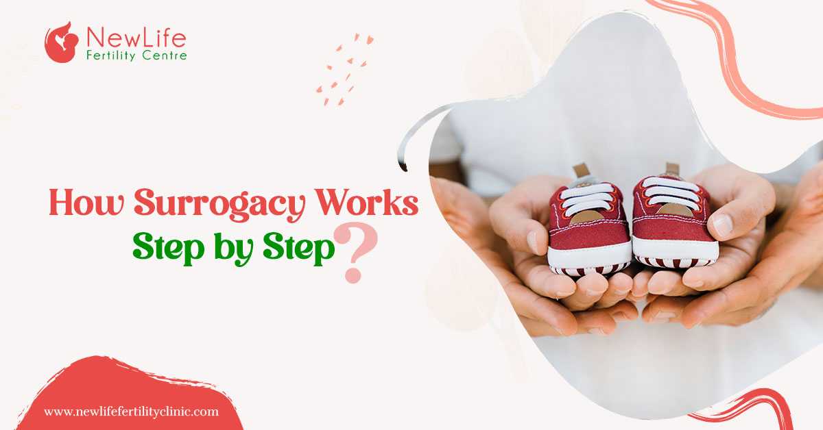 How surrogacy works step by step?