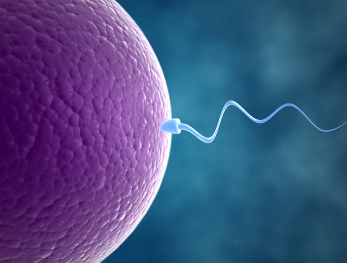 IVF Treatment