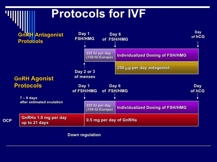 protocols for IVF 