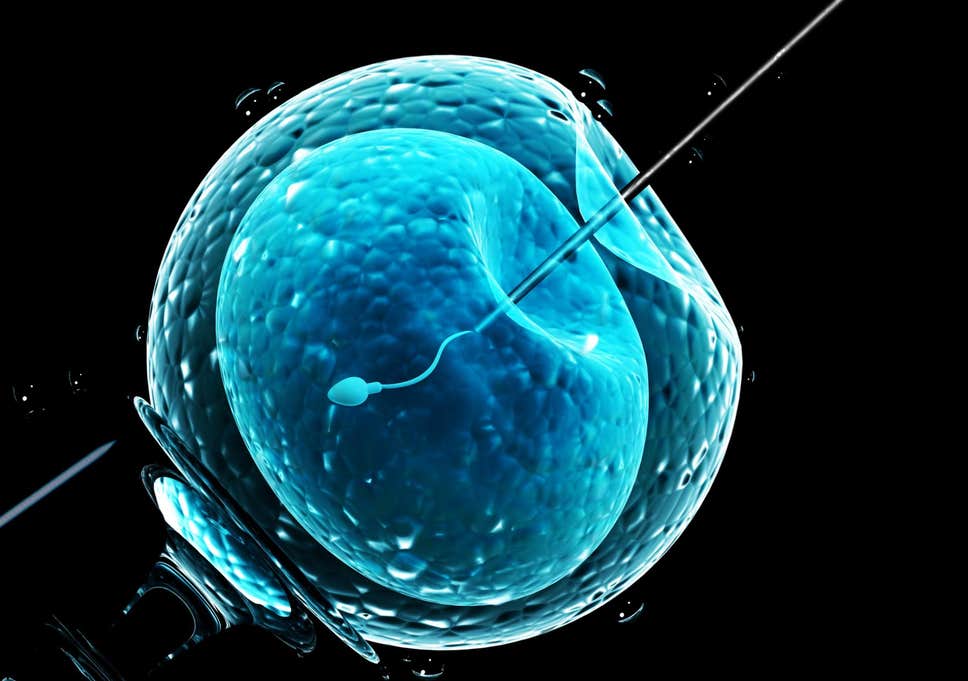 IVF success rate