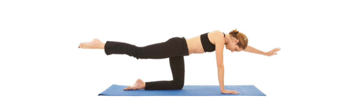 exercise