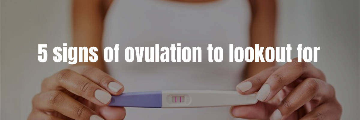 signs of ovulation