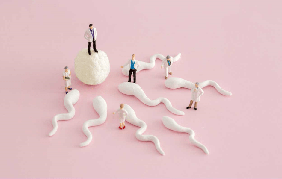 IVF-success-preparation