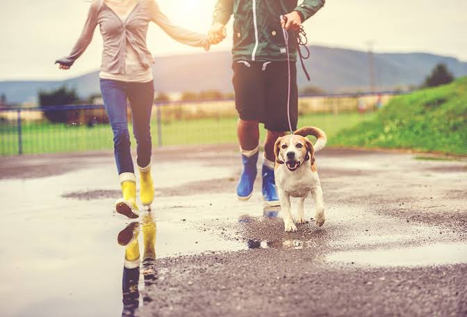be-stress-free-for-ivf-success
