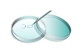 Best IVF Centre in Siliguri