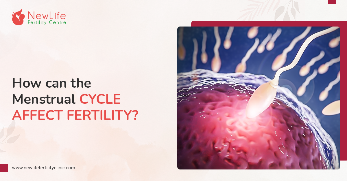 How can the Menstrual Cycle Affect Fertility?