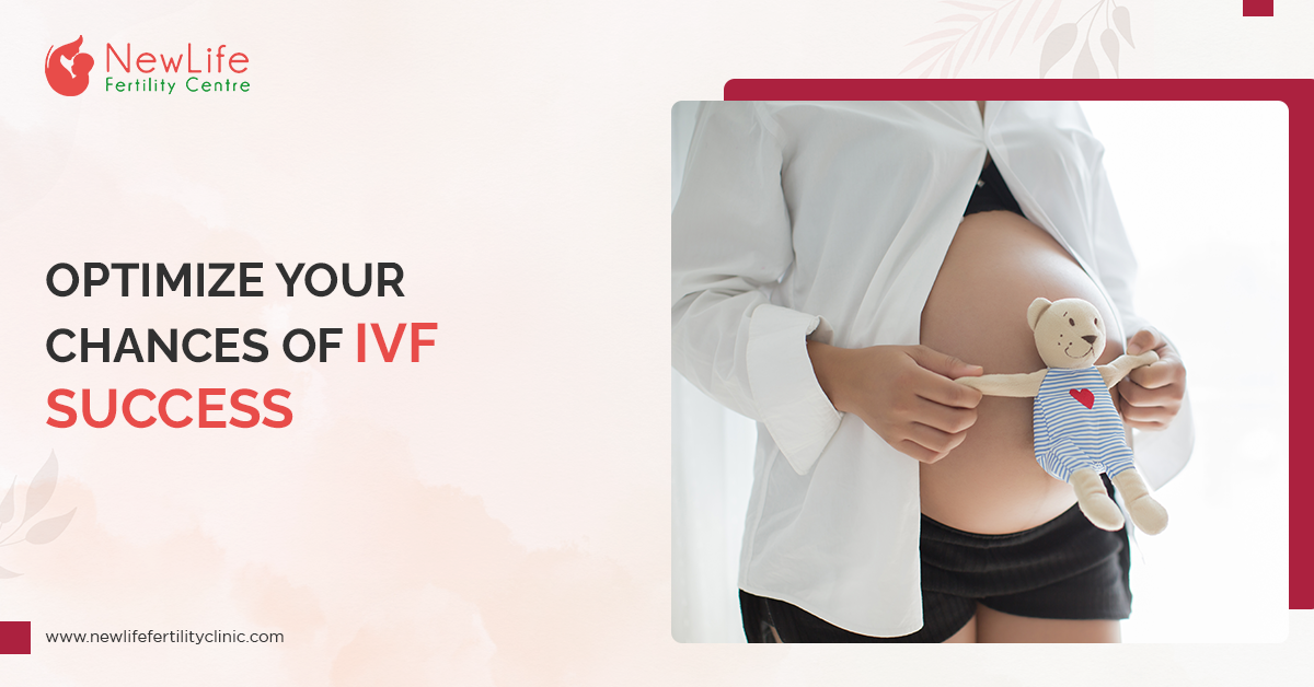 Optimize Your Chances Of IVF Success