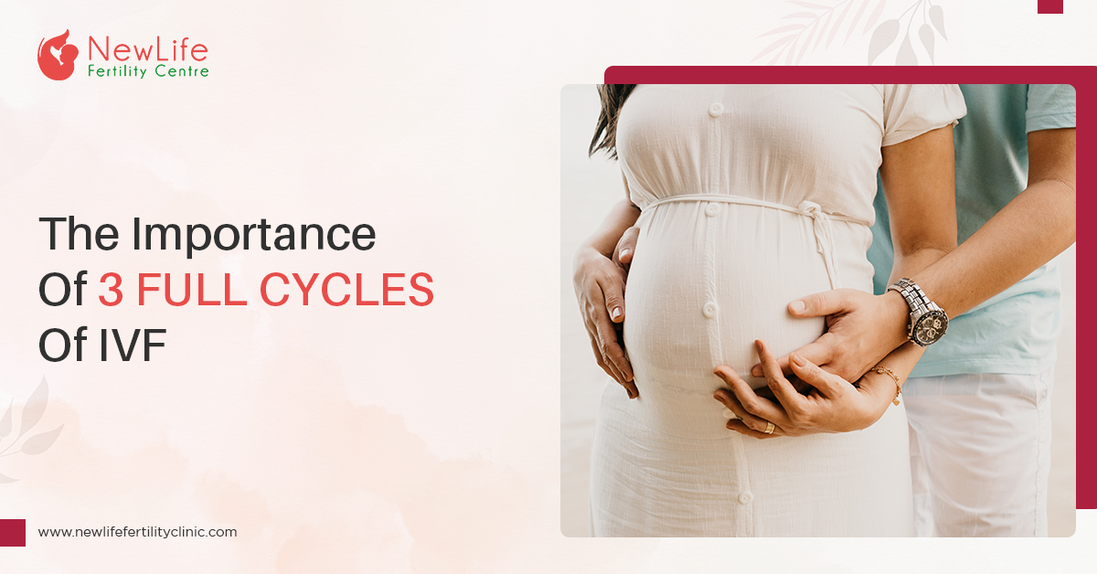 The Importance Of 3 Full Cycles Of IVF