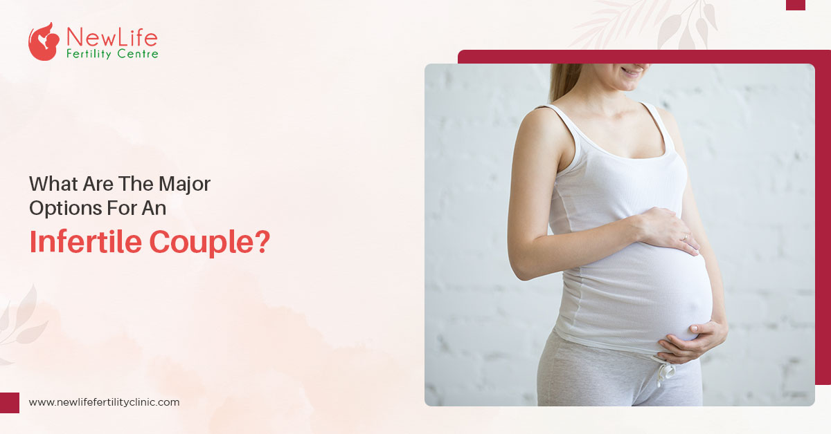 What Are The Major Options For An Infertile Couple?