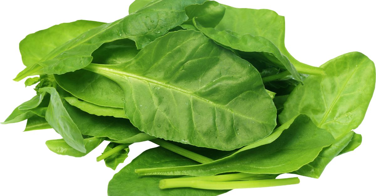 Spinach - newlife Blog