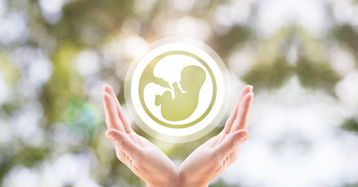 Embryo - newlife Blog