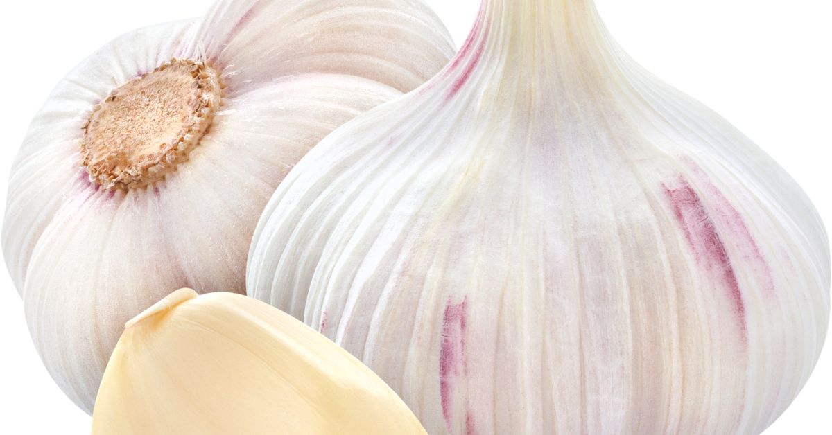 Garlic - newlife Blog