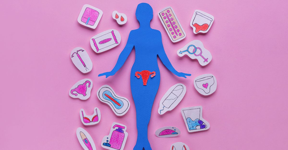Menstrual Cycle - newlife Blog