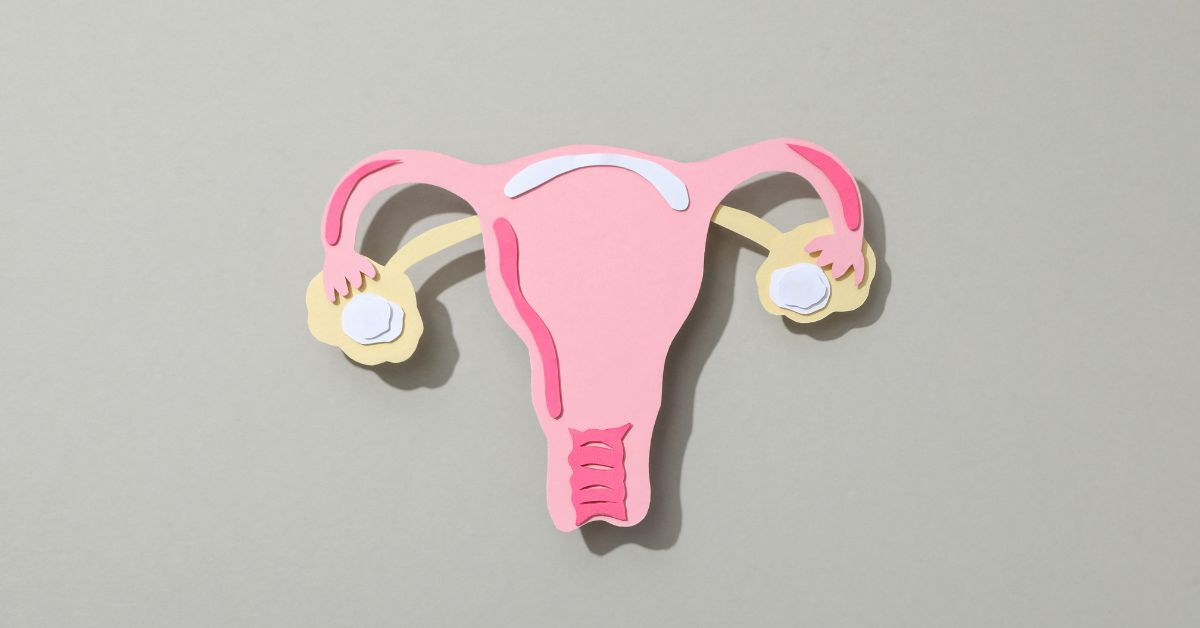 Ovulation - newlife Blog