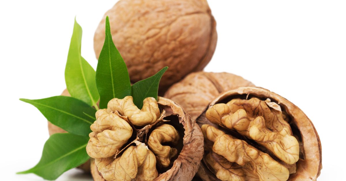 Walnut - newlife Blog