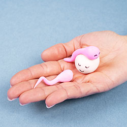 Egg Donation (Ovum Sharing)