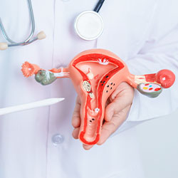 Hystero-Salpingogram (HSG)