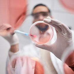 ICSI (Intracytoplasmic Sperm Injection)