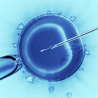 In-Vitro Fertilization