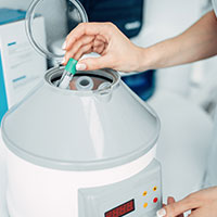 Fertility preservation techniques