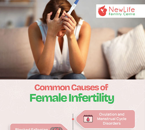 Common Causes of Female Infertility