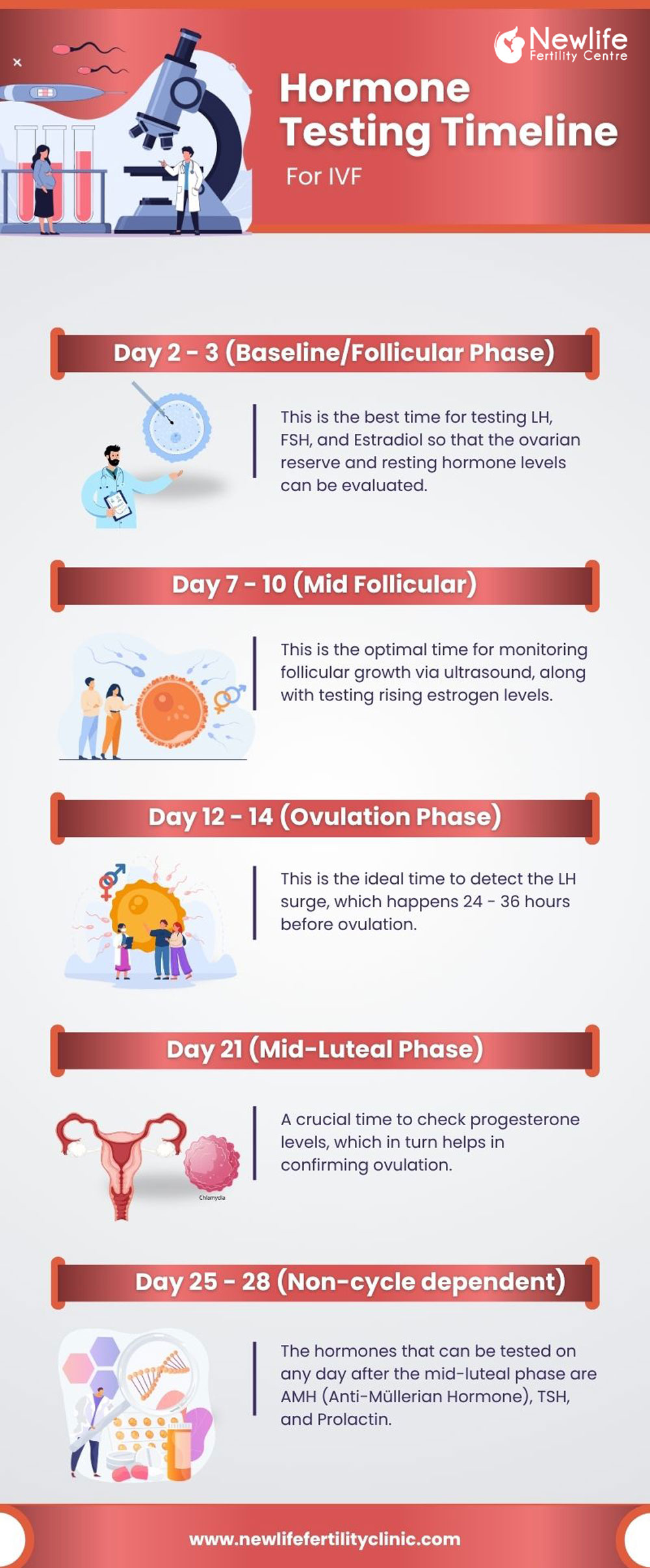 Hormone Testing Timeline