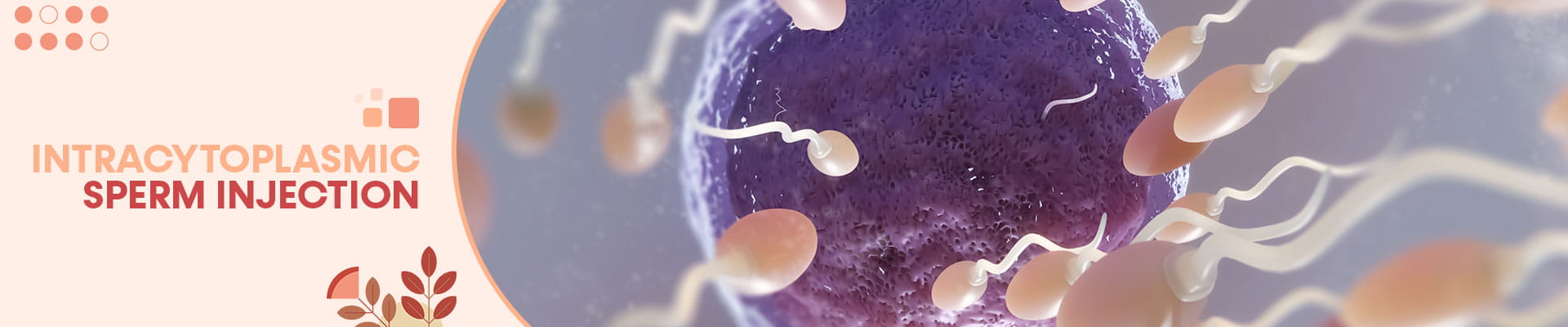 Intracytoplasmic Sperm Injection(ICSI)