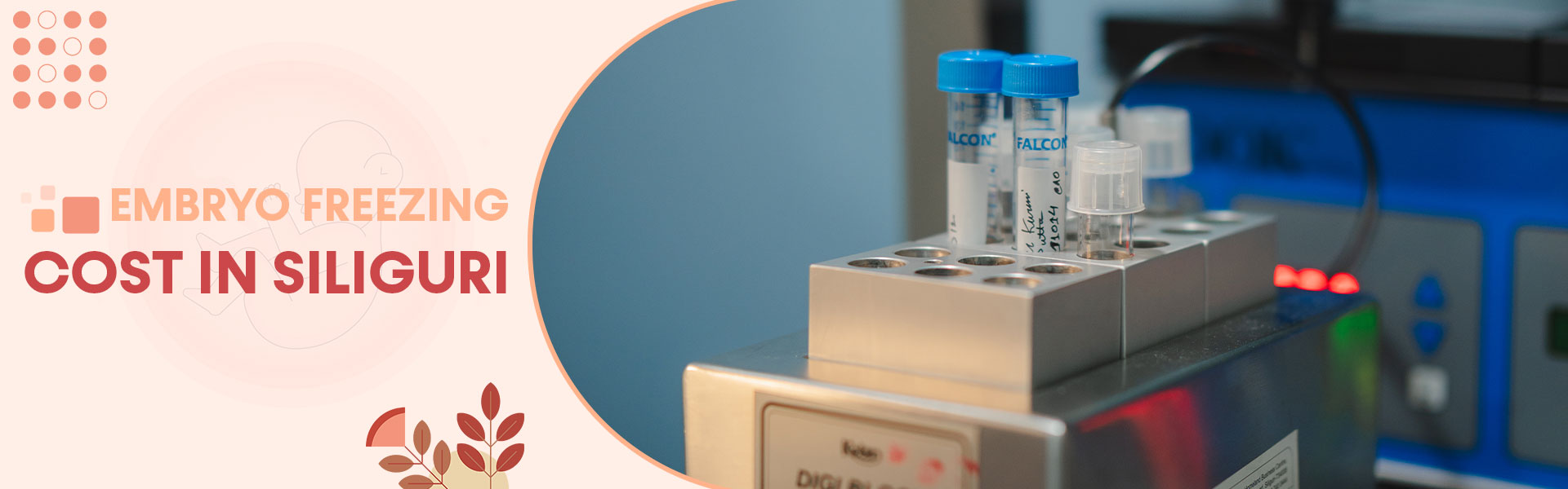 Embryo Freezing Cost Siliguri