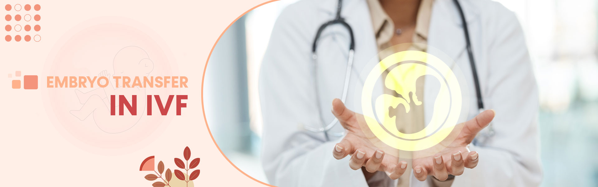 Embryo Transfer in IVF