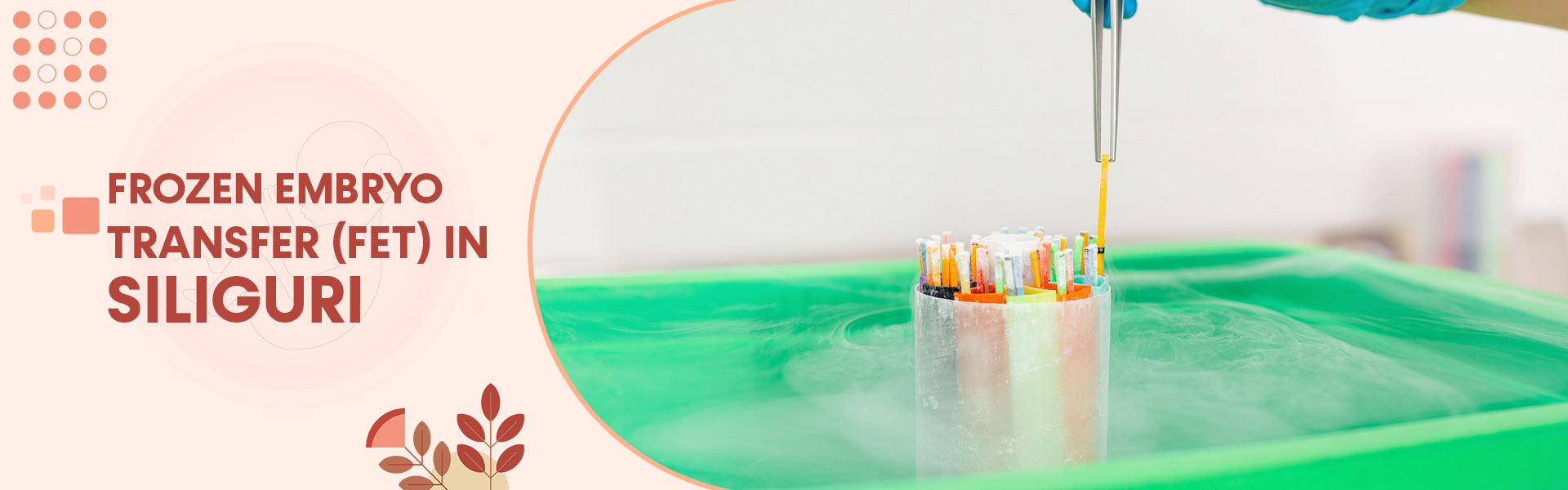 Frozen Embryo Transfer