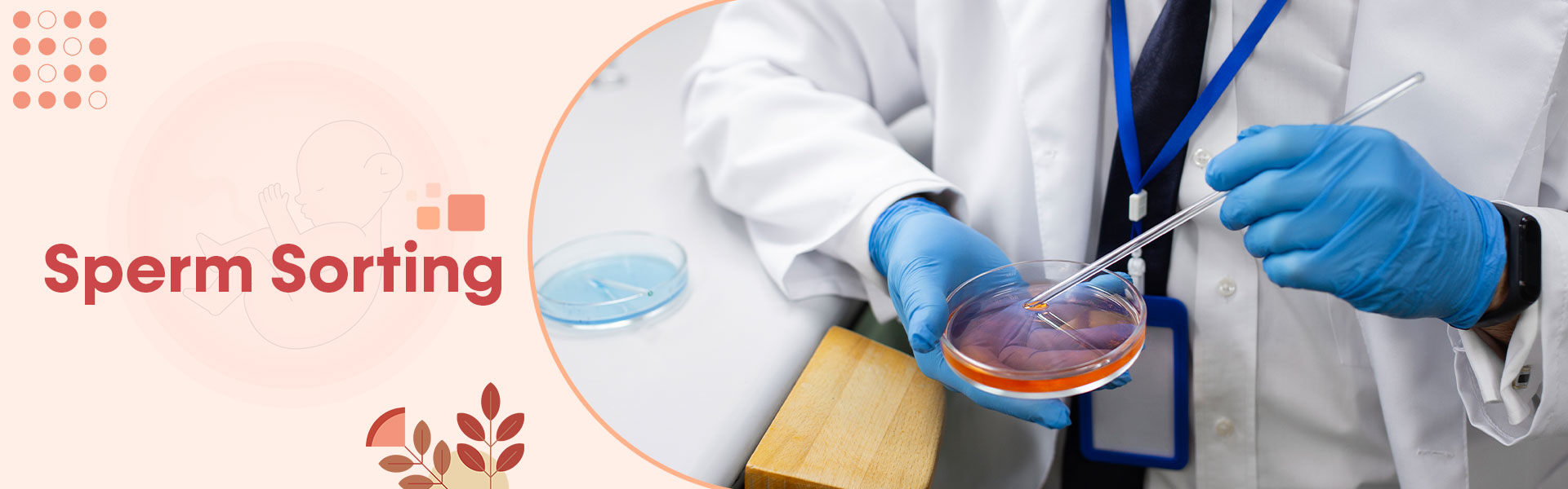 Sperm Sorting