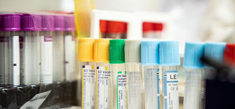 Frozen Embryo Transfer (FET)