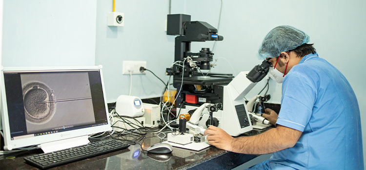 Surgical Sperm Retrieval (TESA / TESE / MESA)