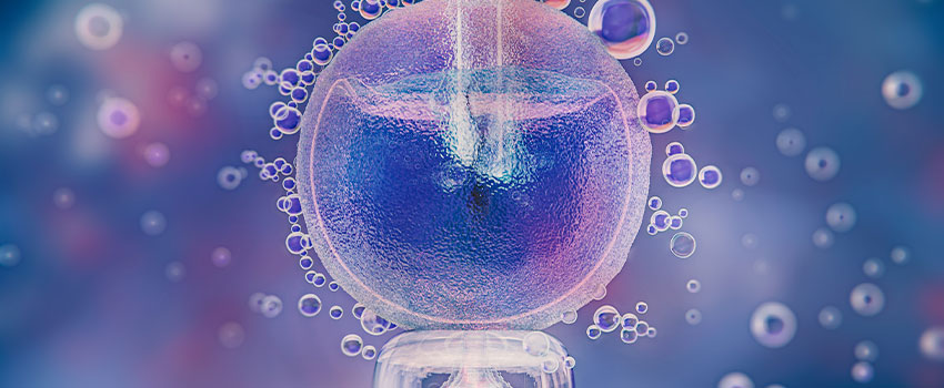 Embryo-related factors