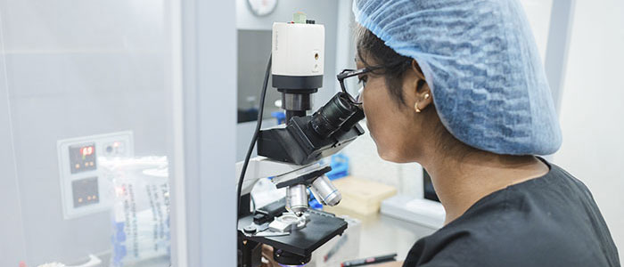Embryo Selection