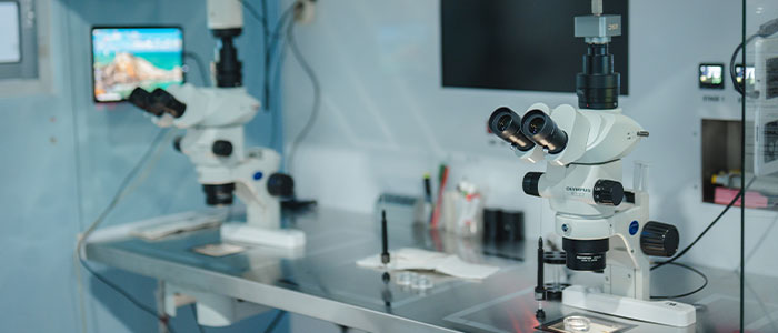 Embryo Transfer