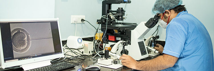 Embryo Development