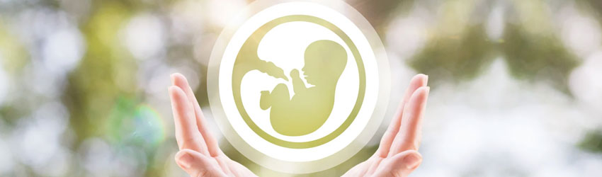 Frozen Embryo Transfer Frozen Embryo Transfer