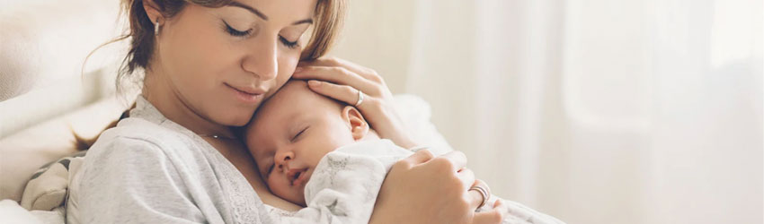 IVF Treatment Cost Breakdown ivf Treatment Cost Breakdown