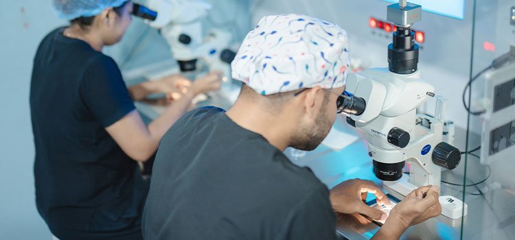 In Vitro Fertilisation (IVF)