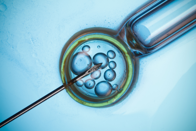 Laser Assisted Zona Hatching