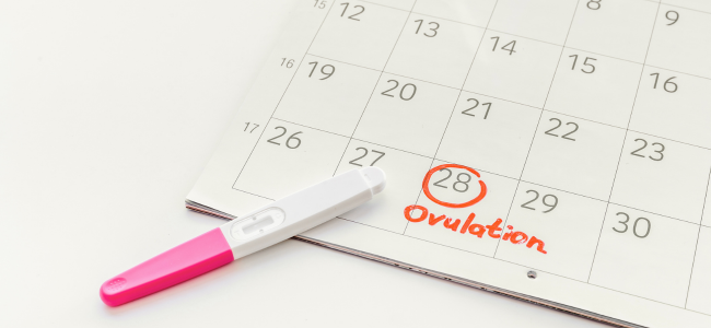Ovulation disorders